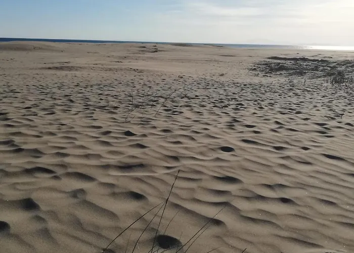Location Cap D'agde Aurélie *